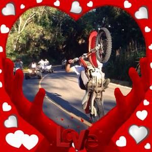 Meet your Posher, Ariel